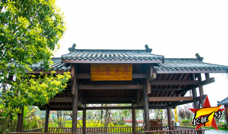 江夏東籬老屋拓展基地——（旅游燒烤首選基地）